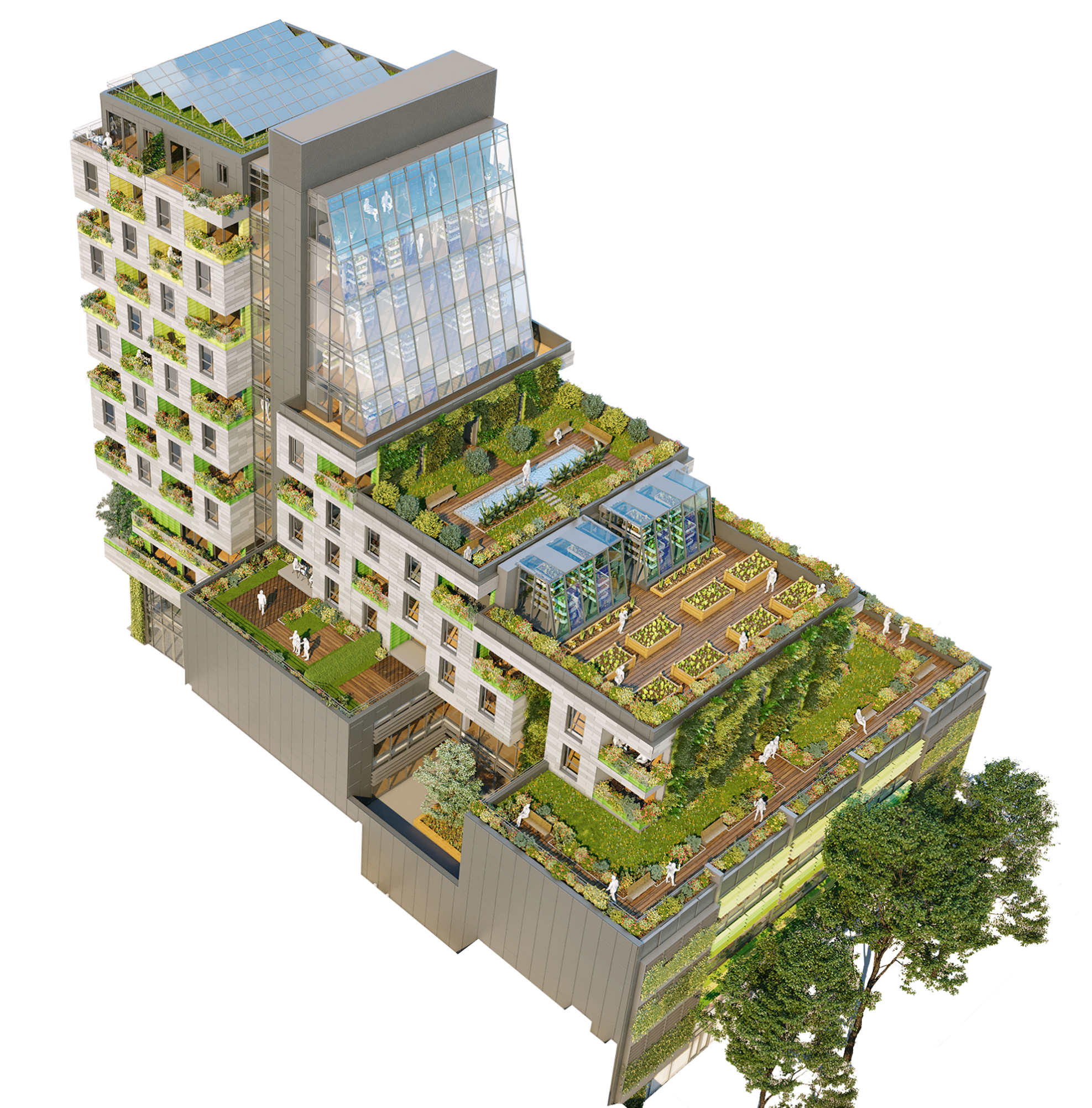 Illustration of Biome Swansea Building, showing plants growing on the exterior walls and roof, greenhouse and solar panel structures on the roof, and people walking around the building.