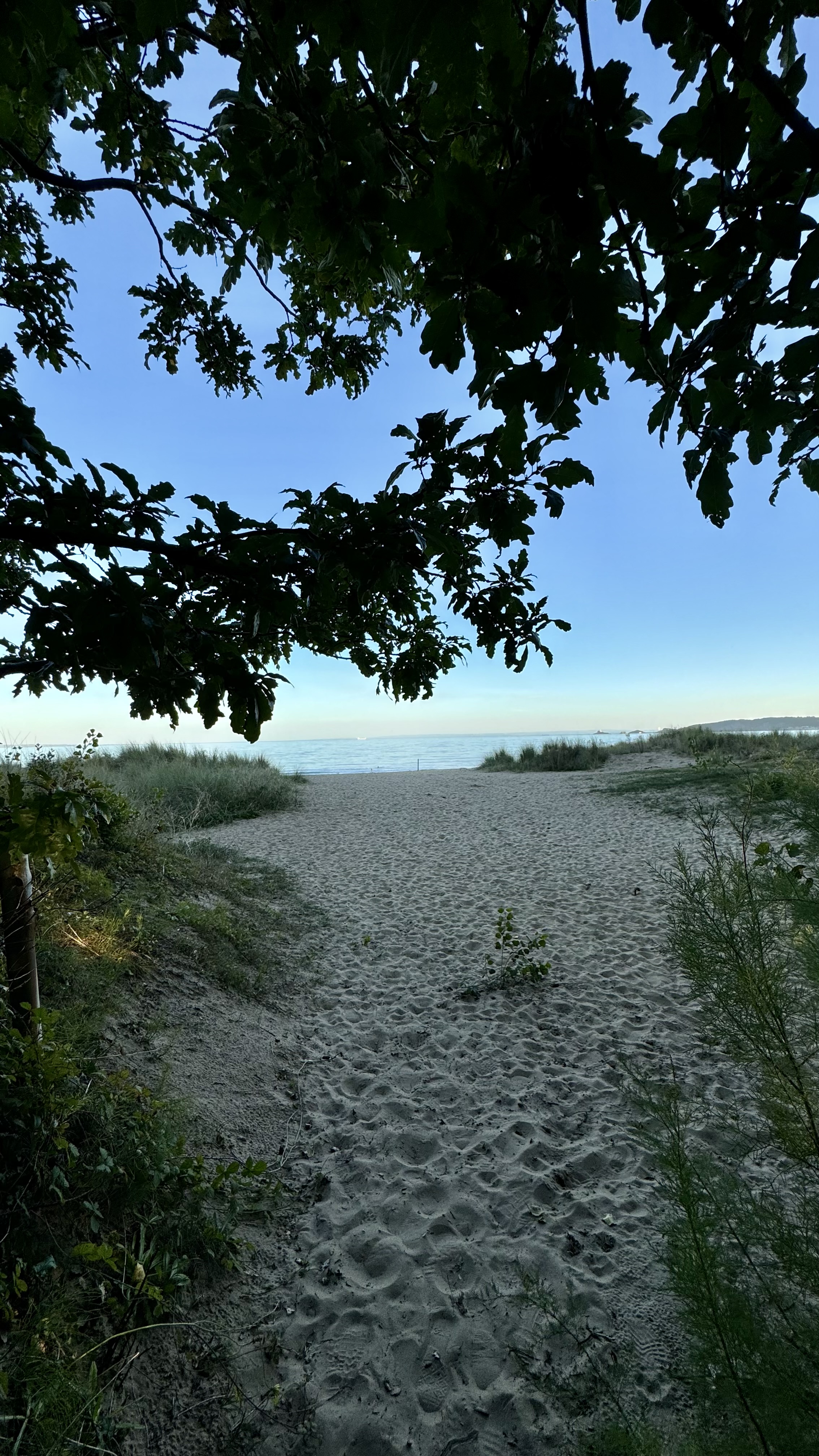 nature photo.jpeg