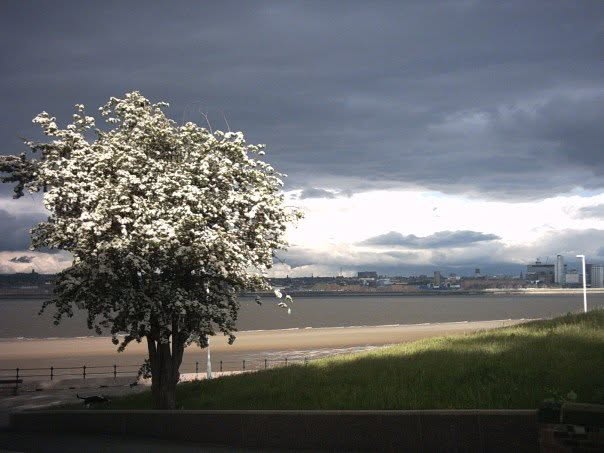 Promenade.jpg